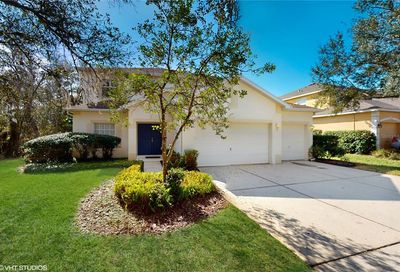 14802 Heronglen Drive Lithia FL 33547