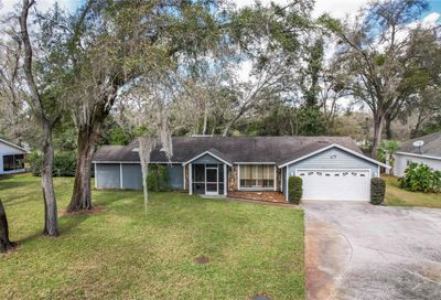 2508 Rustic Oaks Drive Lutz FL 33559