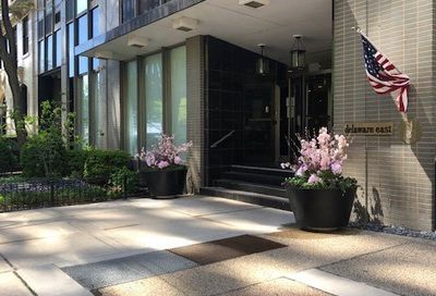 253 E Delaware Place Chicago IL 60611
