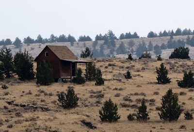 11751 SE Woodstock Way Prineville OR 97754