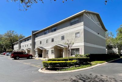 14460 Reuter Strasse Circle Tampa FL 33613