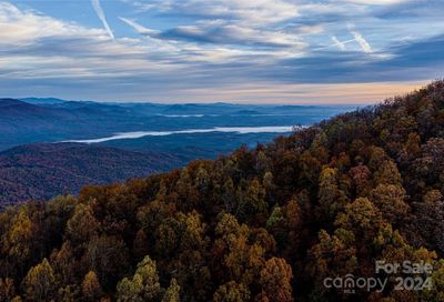 99999 Holbert Cove Road Saluda NC 28773