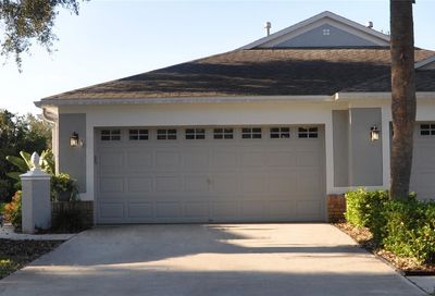 6037 Sandhill Ridge Drive Lithia FL 33547
