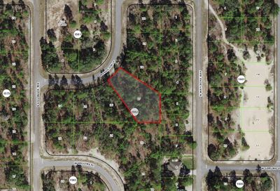 6886 N Pavilion Loop Citrus Springs FL 34433