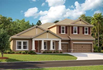 14292 Swiss Bridge Drive Riverview FL 33579