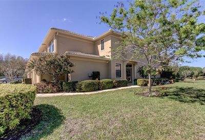 2529 Tranquility Drive Palm Harbor FL 34684