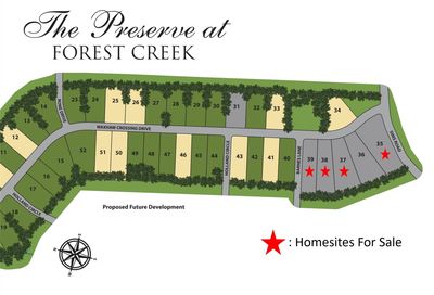 Lot 37 Waxhaw Crossing Drive Waxhaw NC 28173