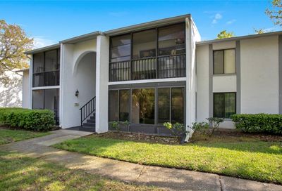 1170 Pine Ridge Circle W Tarpon Springs FL 34688