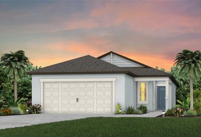 20711 SE Drake Elm Drive Land O Lakes FL 34638