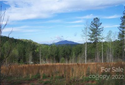 Tract 3 County Line Road Mill Spring NC 28756