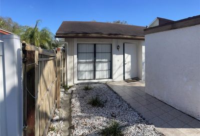 10307 Fernglen Place Tampa FL 33624