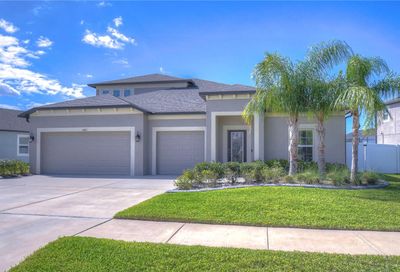 11421 Acacia Grove Lane Riverview FL 33579