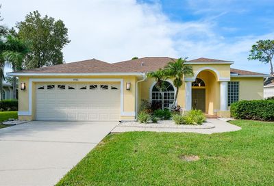 4986 Augusta Avenue Oldsmar FL 34677