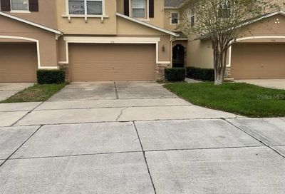 212 Winter Nellis Circle Winter Garden FL 34787