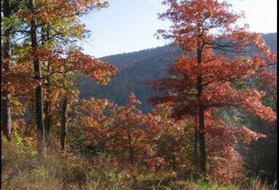 102 Trillium Lane Black Mountain NC 28711