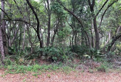 Nutmeg Drive Webster FL 33597
