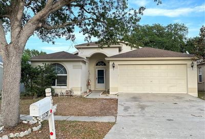 1229 Dragon Head Drive Valrico FL 33594