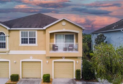 8842 Moonlit Meadows Loop Riverview FL 33578