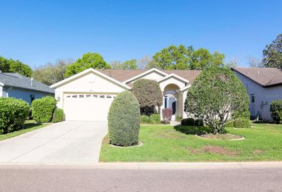 451 Mistwood Court Spring Hill FL 34609