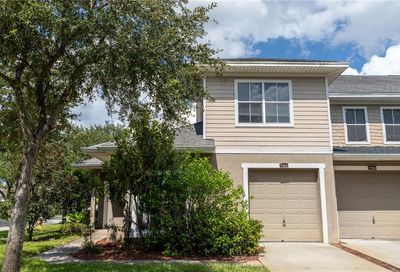 7904 New Ross Court Tampa FL 33610