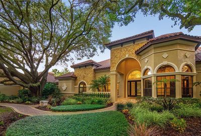 17112 Journeys End Drive Odessa FL 33556