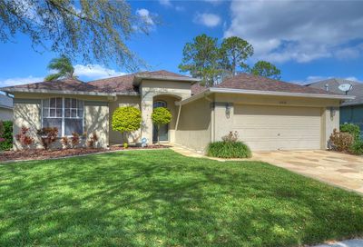 16834 Harrierridge Place Lithia FL 33547