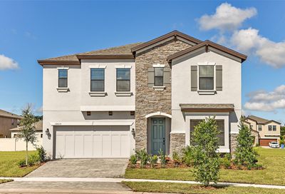 14891 Paddock Pond Avenue Lithia FL 33547