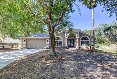 704 Rocky Mountain Court Valrico FL 33594