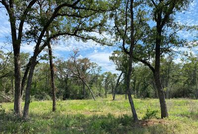 Tbd High Crossing Rd - Tract 2 Smithville TX 78957