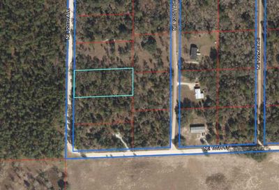 Lot 8 NE 120 Avenue Williston FL 32696