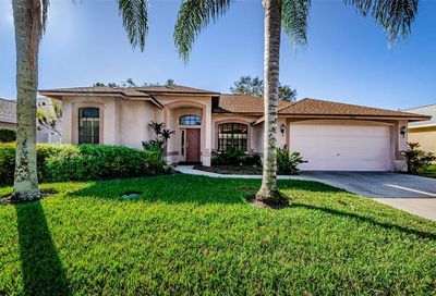2811 Branch Creek Avenue Clearwater FL 33760