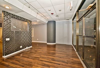 505 N Lake Shore Drive Chicago IL 60611