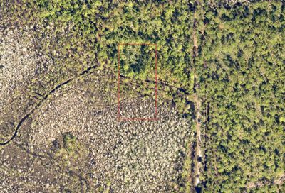 No Street Deland FL 32724