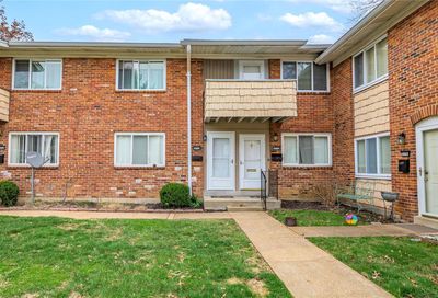 10754 Carroll Wood Way St Louis MO 63128