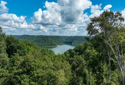 S Peninsulas Edge Ct. Smithville TN 37166