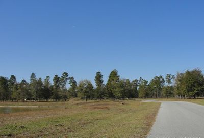 Tbd SE Turkey Ridge Lot# 30 Court Lake Butler FL 32054