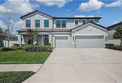 18863 Diego Circle Spring Hill FL 34610