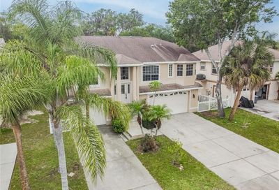 5451 Tropic Drive New Port Richey FL 34653