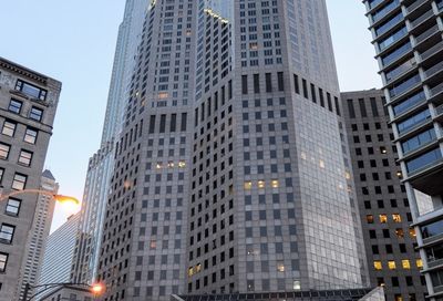 950 N Michigan Avenue Chicago IL 60611