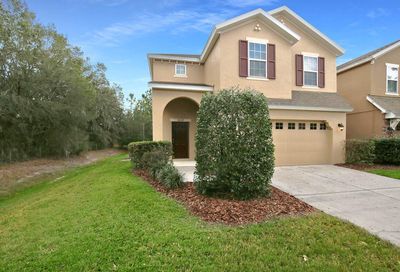 16127 Starling Crossing Drive Lithia FL 33547