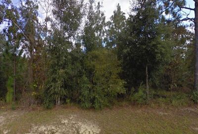 Salem Drive Chipley FL 32428