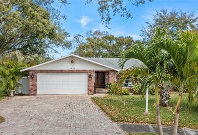 1437 Lawnwood Court Tarpon Springs FL 34689