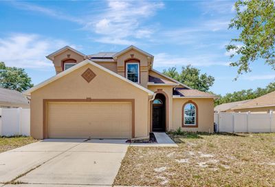 3406 Pine Top Drive Valrico FL 33594