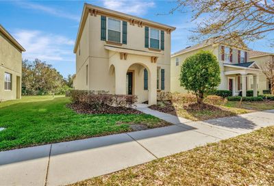 8645 Turnstone Shore Lane Riverview FL 33578