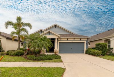 6309 Springline Place Apollo Beach FL 33572