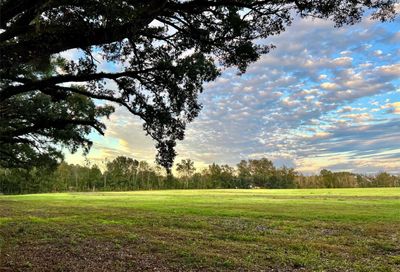 Lot 7 SW 15th Avenue Newberry FL 32669