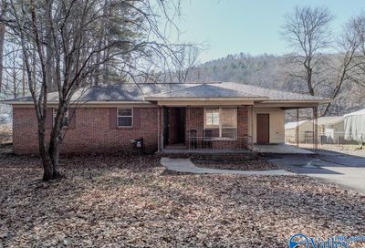 4309 Morrow Street Guntersville AL 35976