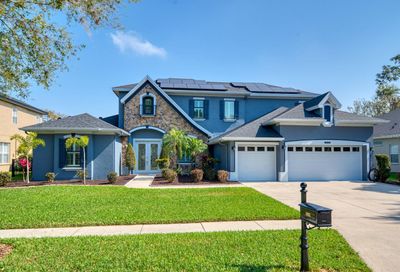 5115 Abisher Wood Lane Brandon FL 33511