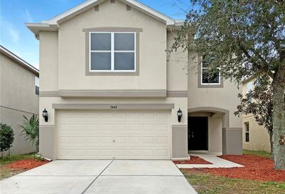 7444 Dragon Fly Loop Gibsonton FL 33534