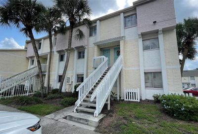 7501 Palmera Pointe Circle Tampa FL 33615